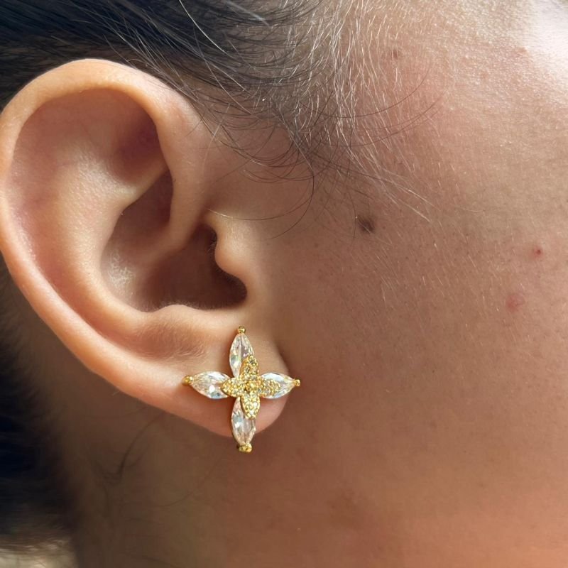 Brinco Biju Fina Dourado/Ródio