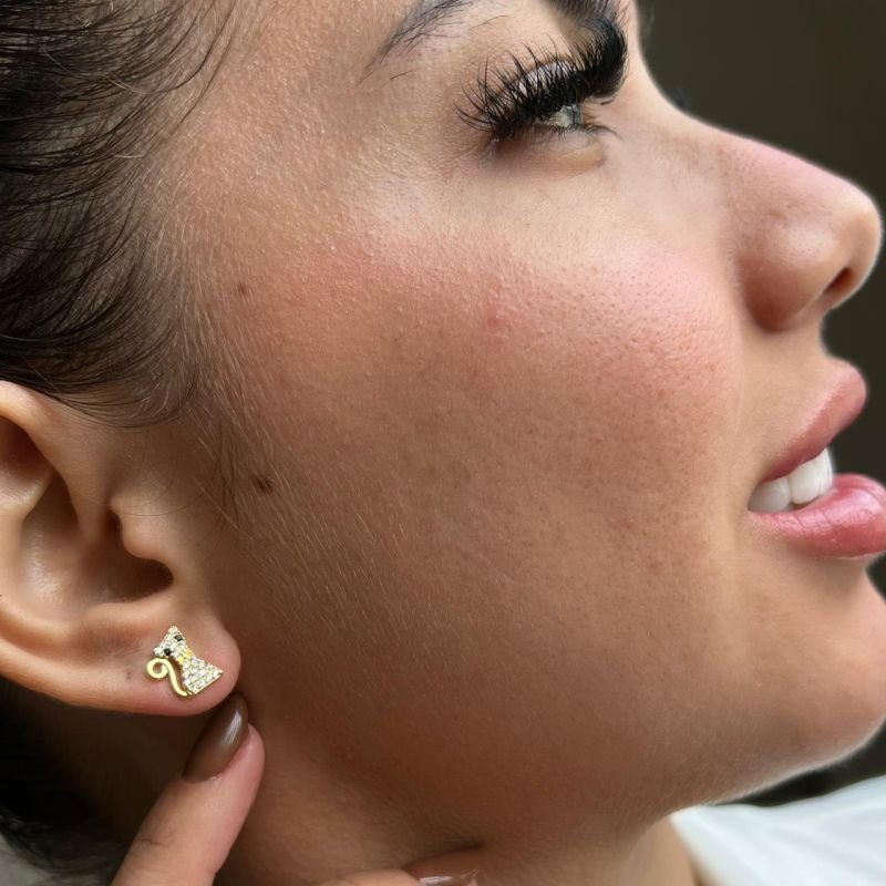 Brinco Gatinho Em Micro Zircônia Banho Ouro18k/Prata 925