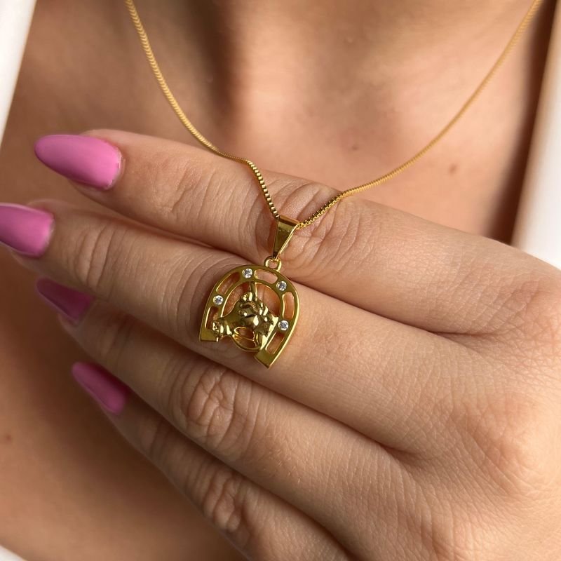 Colar Cavalo Ferradura Banho Ouro 18k/Prata 925