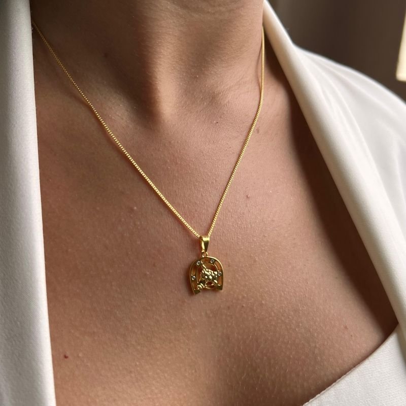 Colar Cavalo Ferradura Banho Ouro 18k/Prata 925